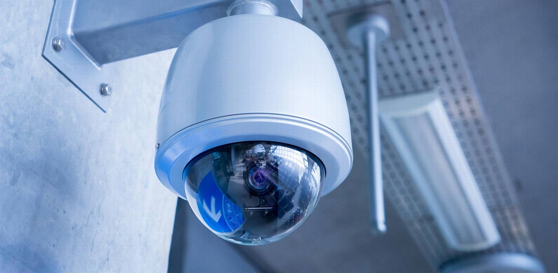 #1 Best Security Camera Company: CAT6 CAT7 CAT8 Network vs Wiring Installer Low Voltage Fiber Optic Gainesville